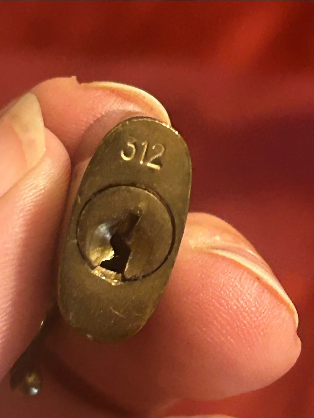 Louis Vuitton lock and key # 312